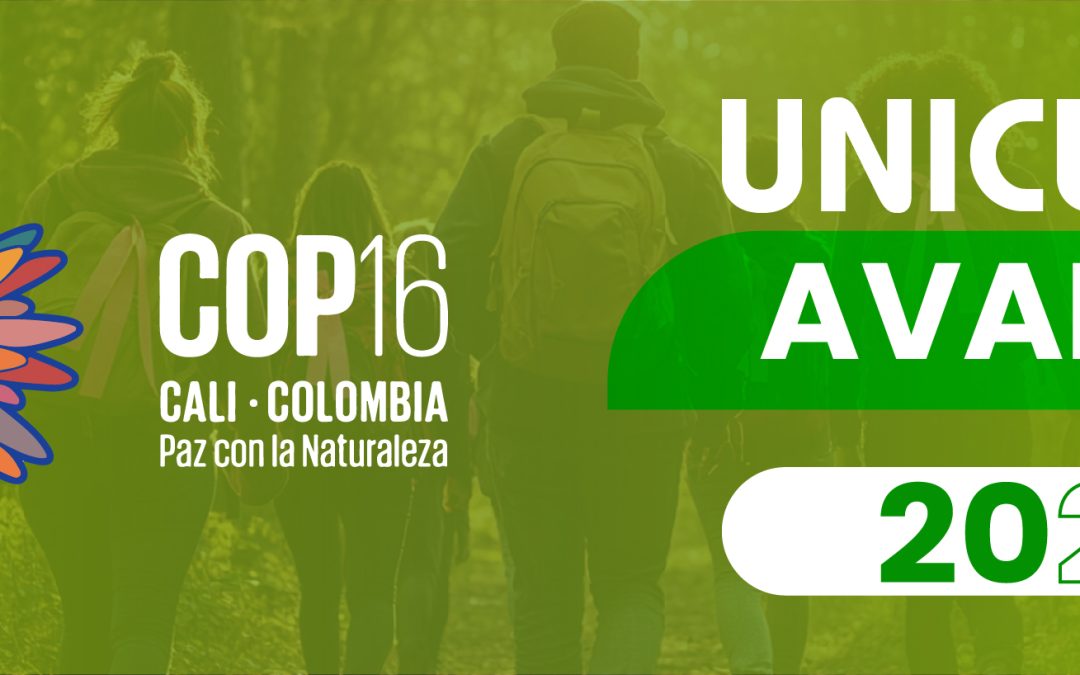 COP 16